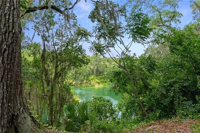 Citrus Hills - Canterbury Lake Estates - Immaculately maintained - photo 40