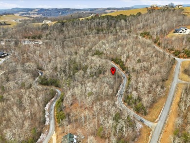 Build in Rock Harbor: .84-Acre Wooded Lot + Norris Lake Access - photo 25