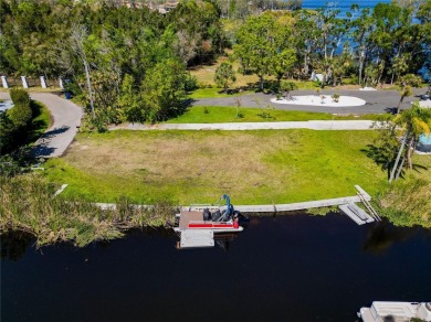 Lake Tarpon Lot Sale Pending in Palm Harbor Florida