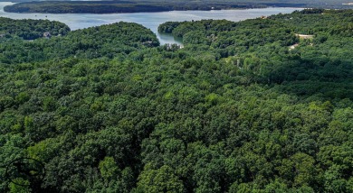 Lake Acreage For Sale in Savannah, Tennessee