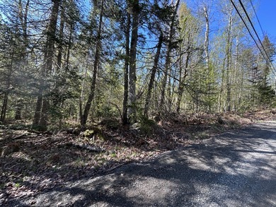 RANGELEY PLANTATION - Bring your building plans! Nicely wooded 1 - photo 2