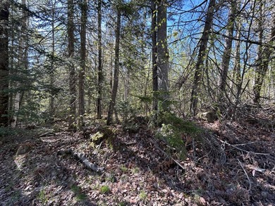 RANGELEY PLANTATION - Bring your building plans! Nicely wooded 1 - photo 3