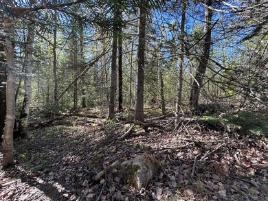RANGELEY PLANTATION - Bring your building plans! Nicely wooded 1 - photo 5
