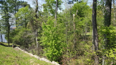 Deep Water Lot on Lake Palestine with Sunset Views - photo 16