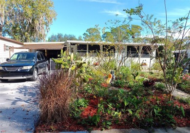 (private lake, pond, creek) Home For Sale in Debary Florida