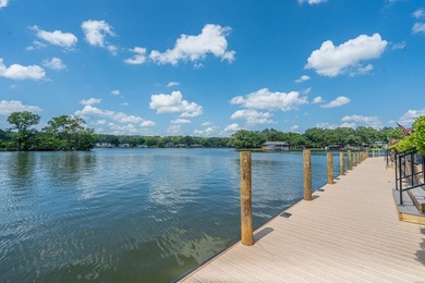 Enjoy beautiful waterfront living in this completely updated and - photo 38