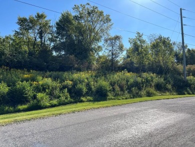 Holiday Lakes Lot For Sale in Willard Ohio