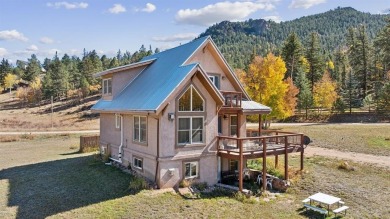 Lake Home For Sale in Lake George, Colorado