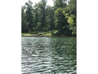 Want a large acreage tract with lake frontage? This lot is for - photo 11