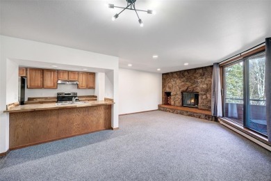 Lake Condo For Sale in Dillon, Colorado
