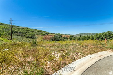 A rare development opportunity within Park City city limits - photo 12