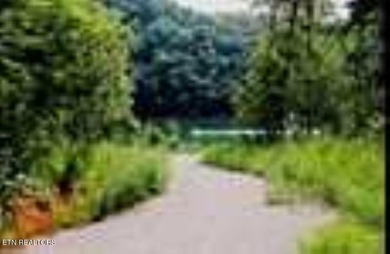 Want a large acreage tract with lake frontage? This lot is for - photo 14