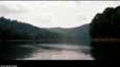 Want a large acreage tract with lake frontage? This lot is for - photo 15