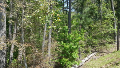 Deep Water Lot on Lake Palestine with Sunset Views - photo 18