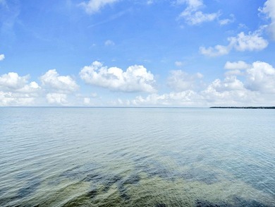 Its all about the VIEWS! Welcome to Bayside at Sandestin Unit - photo 21