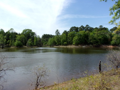 Waterfront Acreage on Lake O' The Pines - Brushy Creek - Lake Acreage For Sale in Jefferson, Texas