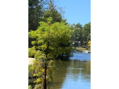 Lake Marion Lot For Sale in Manning South Carolina