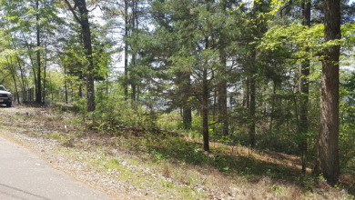 Deep Water Lot on Lake Palestine with Sunset Views - photo 6