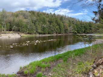 WATERFRONT ESCAPE SOLD - Lake Acreage SOLD! in Salisbury Center, New York