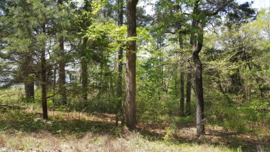Deep Water Lot on Lake Palestine with Sunset Views - photo 7
