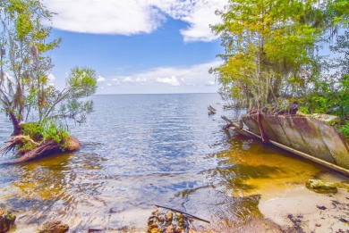 Lake George Home Sale Pending in Salt Springs Florida