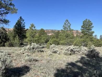 Ramah Reservoir Acreage For Sale in Ramah New Mexico