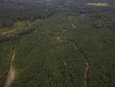 (private lake, pond, coastal) Acreage For Sale in Crosby Mississippi