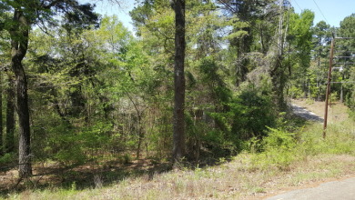 Deep Water Lot on Lake Palestine with Sunset Views - photo 8