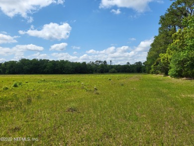 Crescent Lake - Flagler County Acreage For Sale in Bunnell Florida