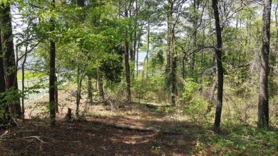 Deep Water Lot on Lake Palestine with Sunset Views - photo 14