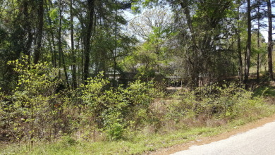 Deep Water Lot on Lake Palestine with Sunset Views - photo 13