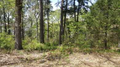 Lake Lot For Sale in Bullard, Texas