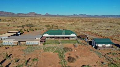 This stunning 2,025+ sq. ft. McElroy Ranch home features 3