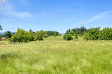 Bring your vision and ambition to this dreamy 31 acre, level lot - photo 11