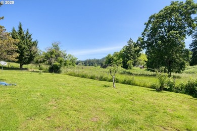 Bring your vision and ambition to this dreamy 31 acre, level lot - photo 13