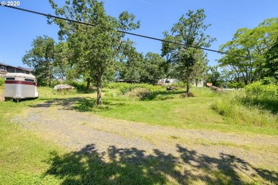 Bring your vision and ambition to this dreamy 31 acre, level lot - photo 14