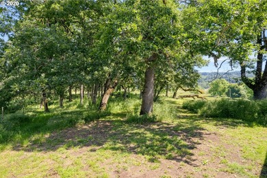 Bring your vision and ambition to this dreamy 31 acre, level lot - photo 15