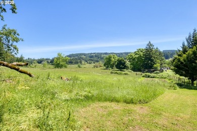 Bring your vision and ambition to this dreamy 31 acre, level lot - photo 16