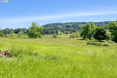 Bring your vision and ambition to this dreamy 31 acre, level lot - photo 17