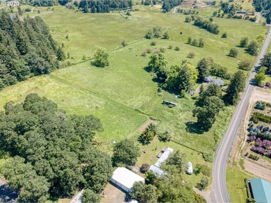 Bring your vision and ambition to this dreamy 31 acre, level lot - photo 19