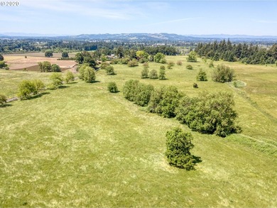 Bring your vision and ambition to this dreamy 31 acre, level lot - photo 20