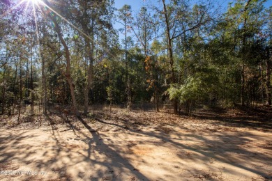 Lake Lot For Sale in Melrose, Florida