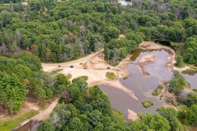Town of Rome Home Site/Camp Site near Lake Petenwell. Already - photo 23