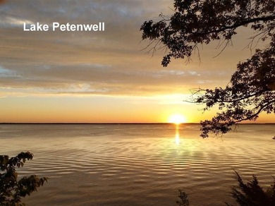 Town of Rome Home Site/Camp Site near Lake Petenwell. Already - photo 26