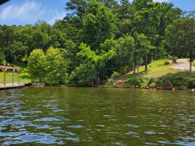 Deep Water Lot on Lake Palestine with Sunset Views - photo 1