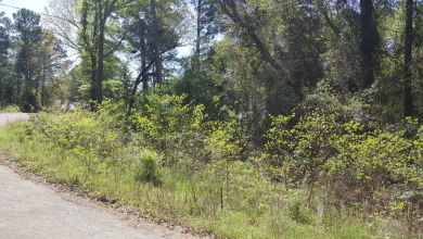 Deep Water Lot on Lake Palestine with Sunset Views - photo 11