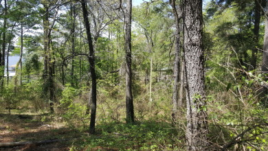 Deep Water Lot on Lake Palestine with Sunset Views - photo 15