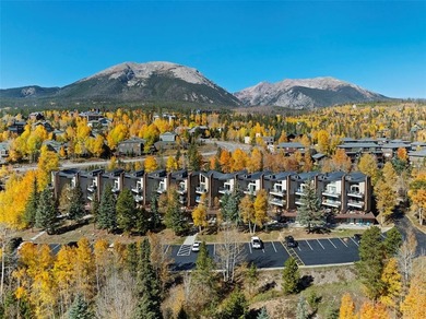 Dillon Reservoir Condo For Sale in Silverthorne Colorado