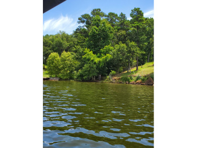 Deep Water Lot on Lake Palestine with Sunset Views - photo 3