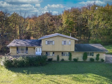 Lake Home For Sale in Chagrin Falls, Ohio